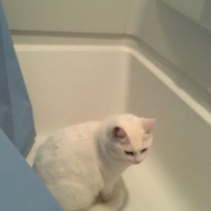 Meet your Posher, Donna